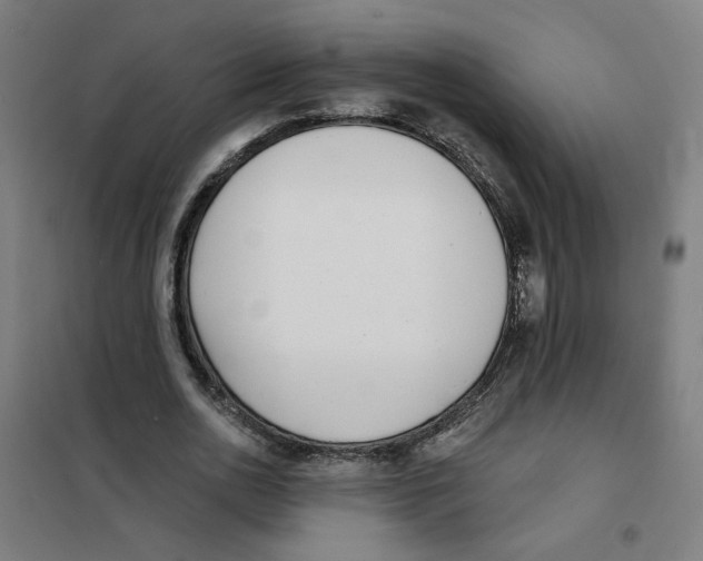 X0000101180726200807250939