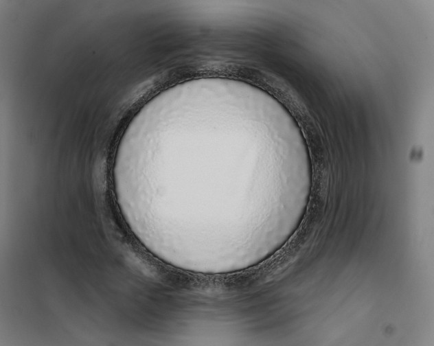 X0000101180729200807250939