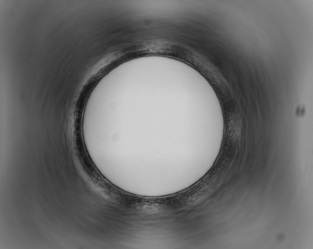 X0000101180730200807250939