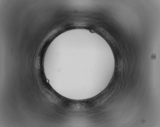 X0000101180731200807250939