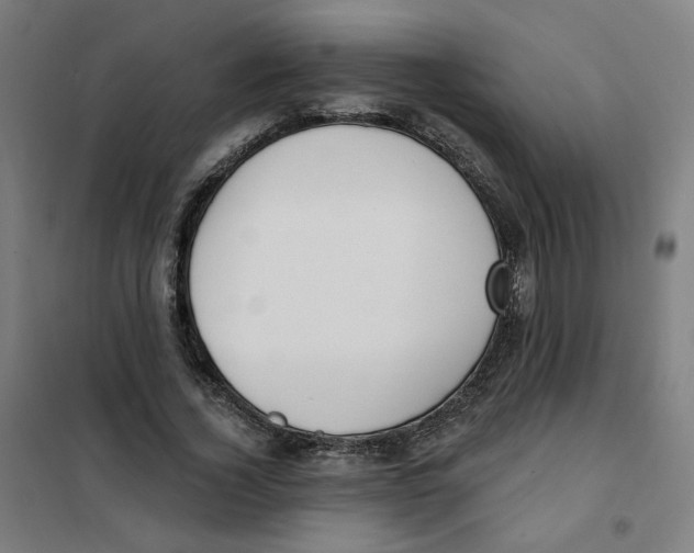 X0000101180732200807250939