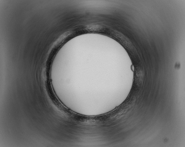 X0000101180734200807250939