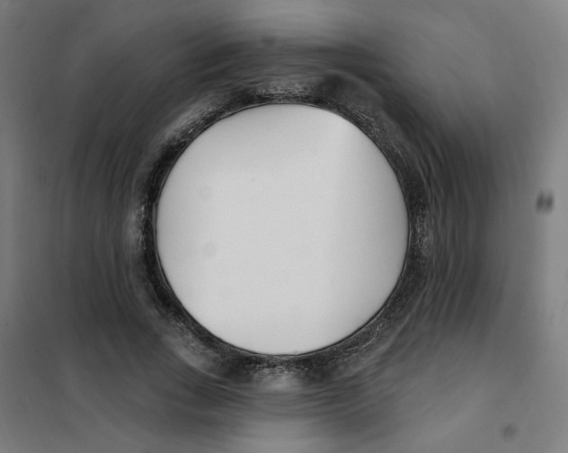 X0000101180735200807250939