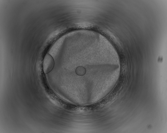 X0000101180736200807250939