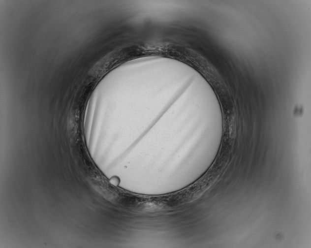 X0000101180737200807250939