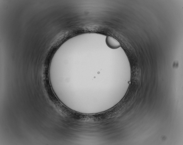 X0000101180738200807250939