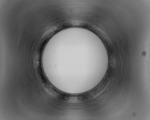 X0000101180740200807250939