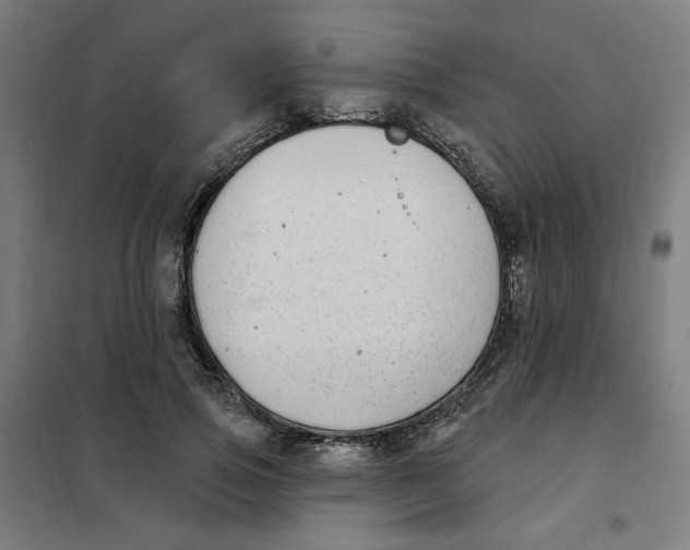 X0000101180741200807250939