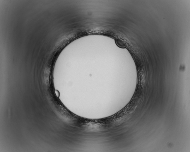 X0000101180742200807250939