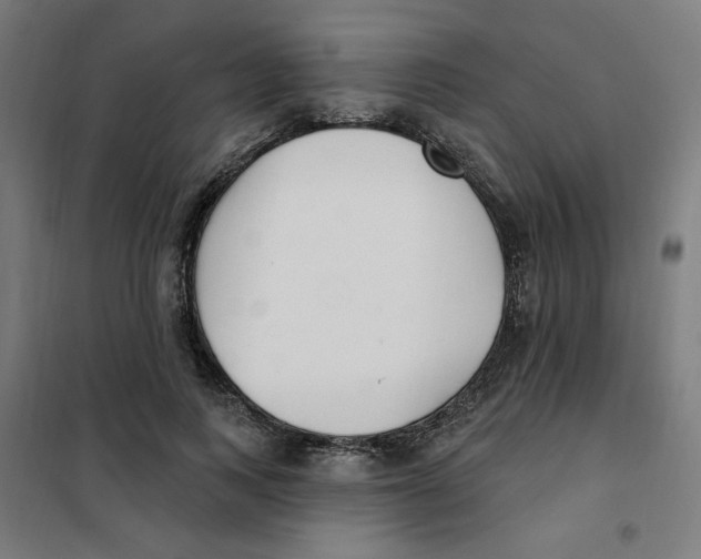 X0000101180743200807250939