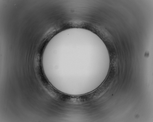 X0000101180744200807250939