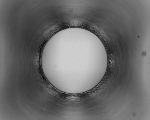 X0000101180745200807250939