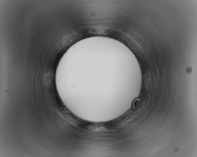 X0000101180747200807250939