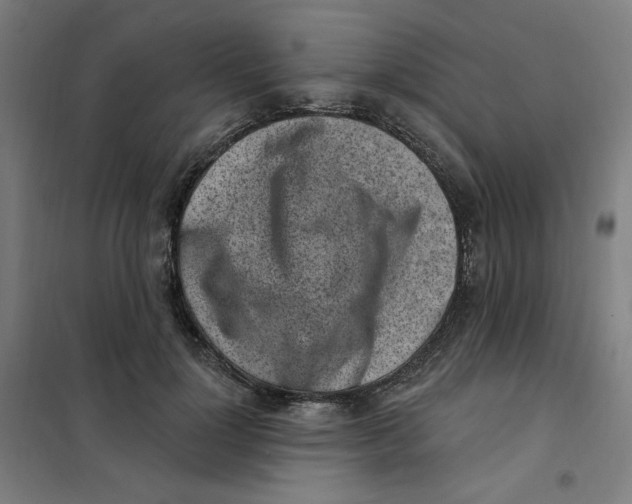 X0000101180748200807250939