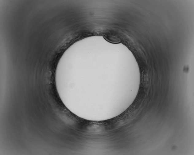 X0000101180750200807250939