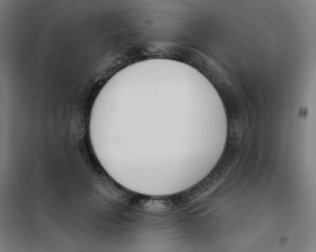 X0000101180751200807250939