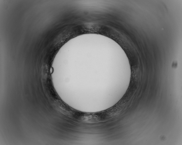 X0000101180752200807250939