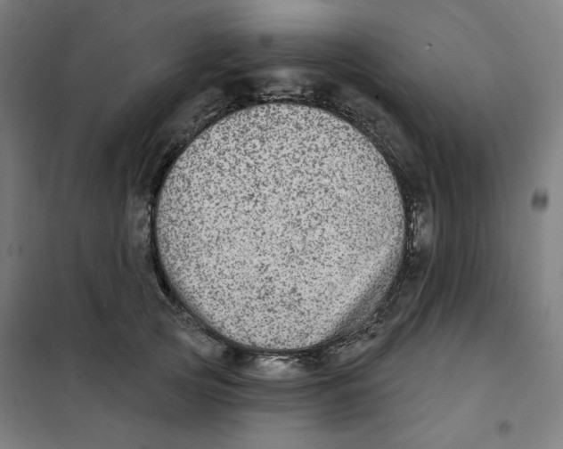 X0000101180753200807250939