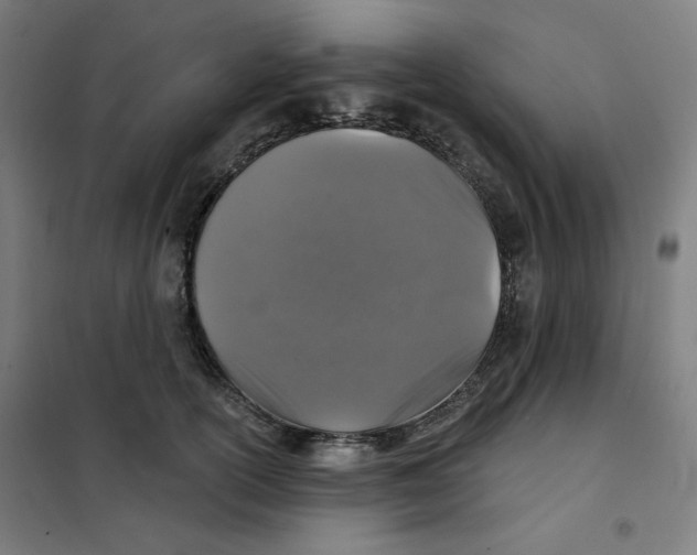 X0000101180754200807250939