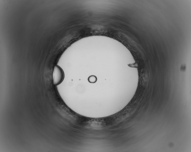 X0000101180756200807250939