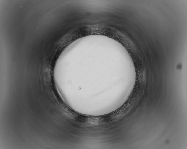 X0000101180757200807250939