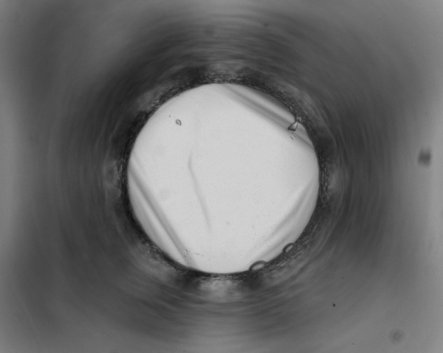 X0000101180759200807250939