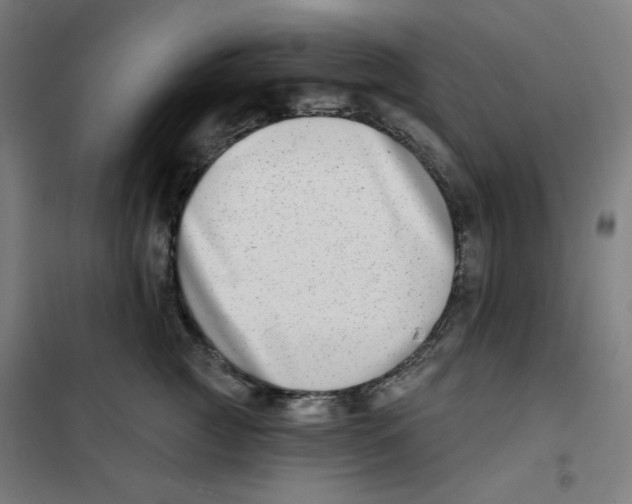 X0000101180761200807250939