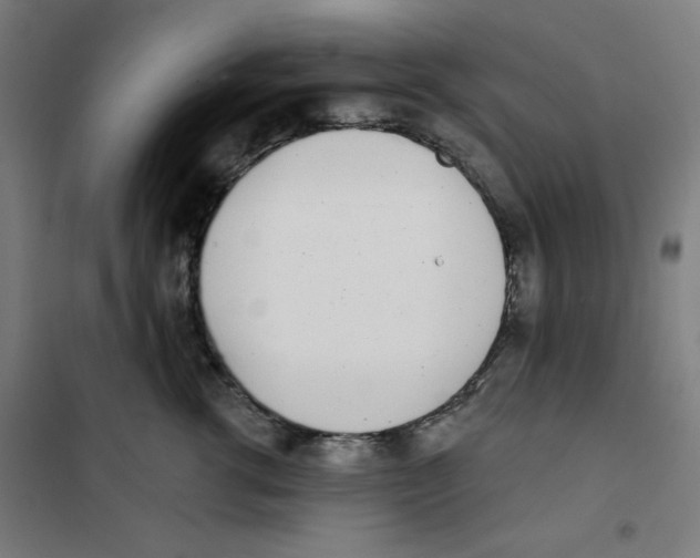 X0000101180762200807250939