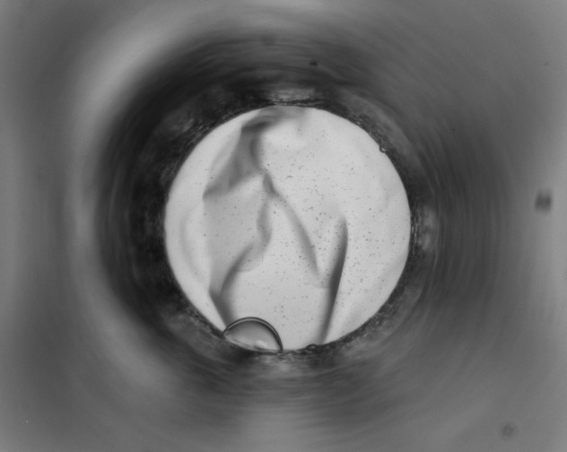 X0000101180763200807250939