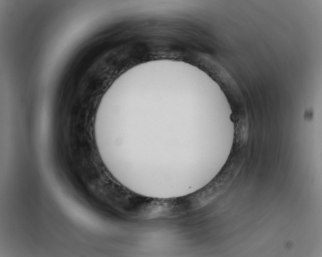 X0000101180764200807250939