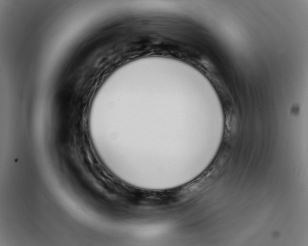 X0000101180765200807250939