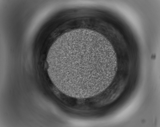 X0000101180766200807250939