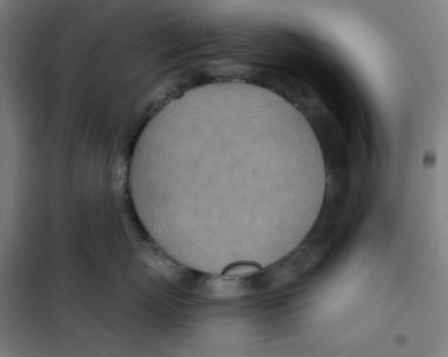 X0000101180767200807250939