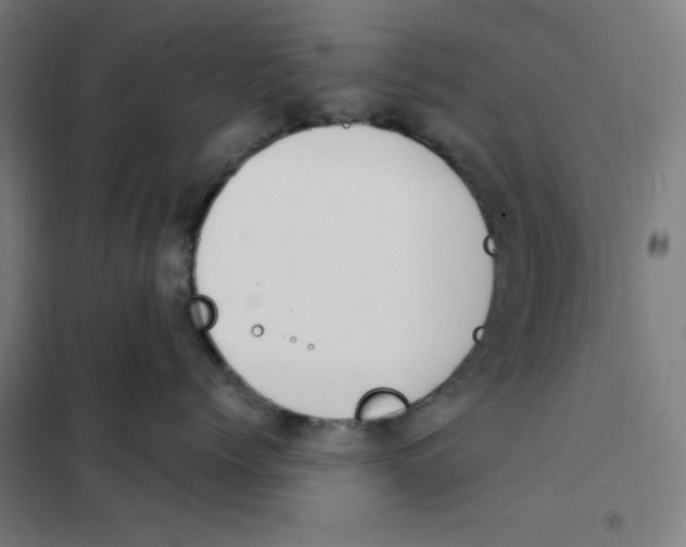 X0000101180768200807250939