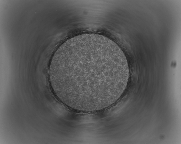 X0000101180769200807250939