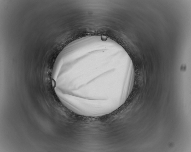 X0000101180770200807250939