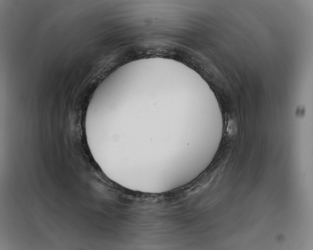 X0000101180771200807250939