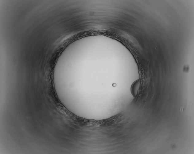 X0000101180773200807250939