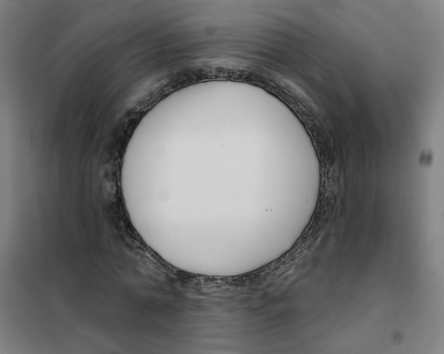 X0000101180774200807250939