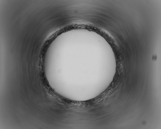 X0000101180775200807250939