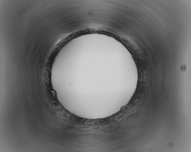 X0000101180776200807250939