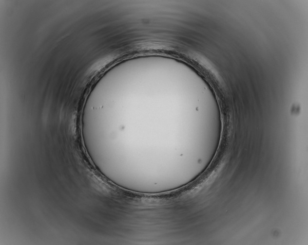 X0000101180777200807250939