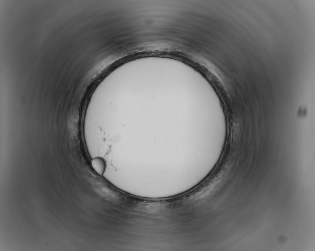 X0000101180778200807250939