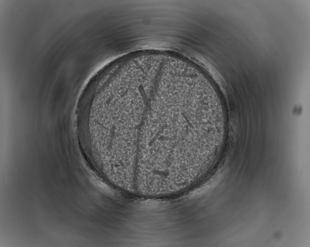 X0000101180779200807250939