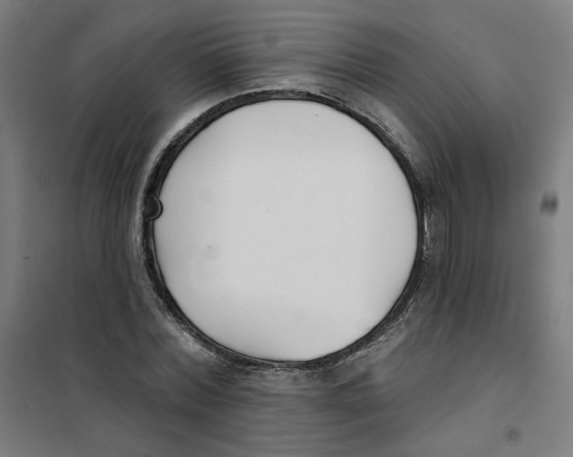 X0000101180780200807250939