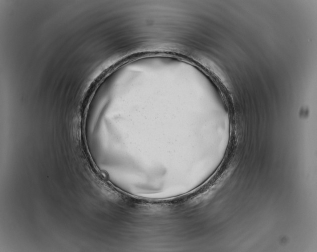 X0000101180781200807250939