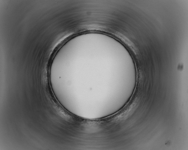 X0000101180782200807250939