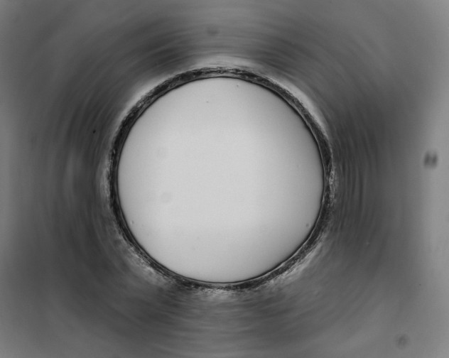 X0000101180783200807250939