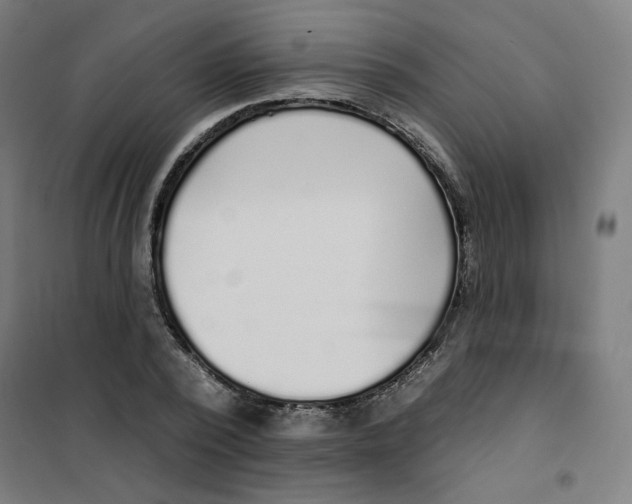 X0000101180784200807250939