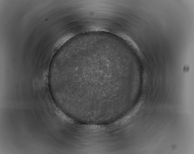 X0000101180785200807250939